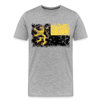 Pfalz - Männer Premium Bio T-Shirt - Grau meliert - Vorne - Damien (186cm)