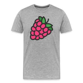 himbeere rasperry obst veggie gemuese fruits14 - Männer Premium Bio T-Shirt - Grau meliert - Vorne - Damien (186cm)
