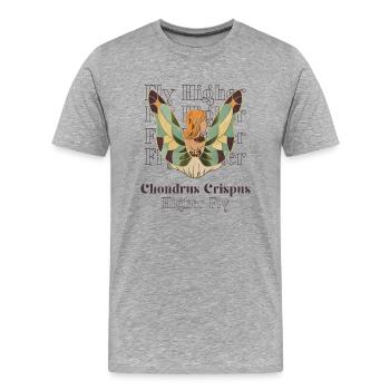 High Flyer Fairy Fly Chondrus Crispus - Men's Premium Organic T-Shirt - heather grey - Front - Damien (186cm)