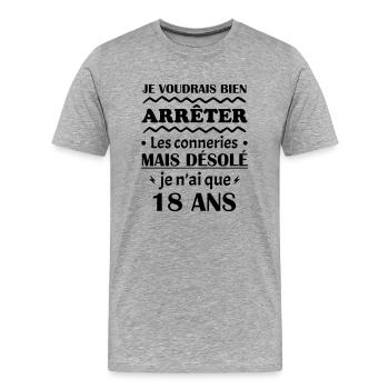 je voudrais bien 18, cadeau d'anniversaire 18 ans - T-shirt bio Premium Homme - gris chiné - Devant - Damien (186cm)