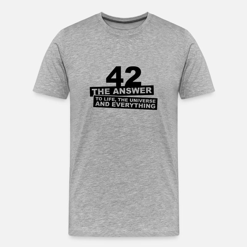 42 - The Answer - Männer Premium Bio T-Shirt - Grau meliert