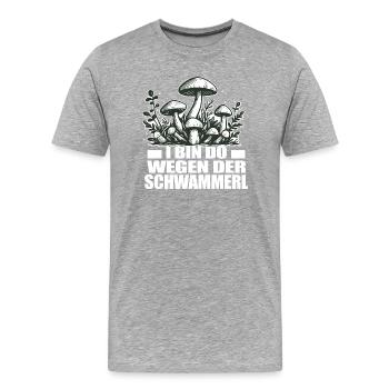 Schwammerl Pilze Spruch - Männer Premium Bio T-Shirt - Grau meliert - Vorne - Damien (186cm)