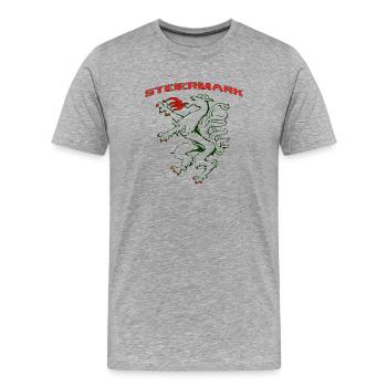 Steiermark - Männer Premium Bio T-Shirt - Grau meliert - Vorne - Damien (186cm)