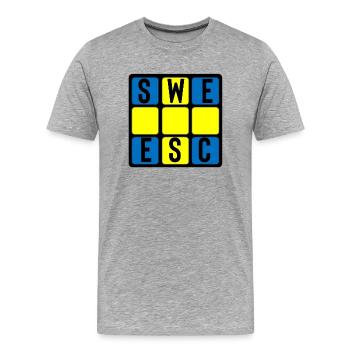 Eurovision Schweden - Männer Premium Bio T-Shirt - Grau meliert - Vorne - Damien (186cm)
