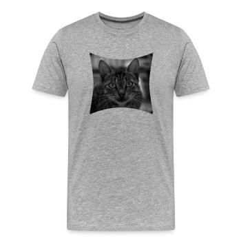 Wild Cat - Men's Premium Organic T-Shirt - heather grey - Front - Damien (186cm)