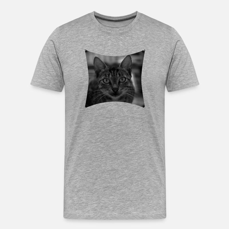 Wilde Katze - Männer Premium Bio T-Shirt - Grau meliert