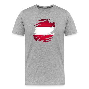 Österreich Österreicher Karte Land Flagge Österreich - Männer Premium Bio T-Shirt - Grau meliert - Vorne - Damien (186cm)