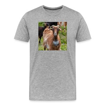 Chèvre de montagne dans le parc national Parc de l’île de Kos - T-shirt bio Premium Homme - gris chiné - Devant - Damien (186cm)