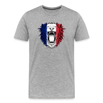 France - Men's Premium Organic T-Shirt - heather grey - Front - Damien (186cm)