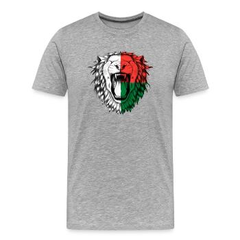 Madagaskar - Männer Premium Bio T-Shirt - Grau meliert - Vorne - Damien (186cm)