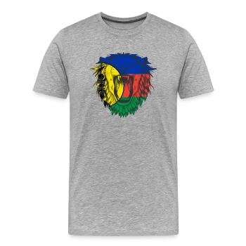 Neukaledonien - Männer Premium Bio T-Shirt - Grau meliert - Vorne - Damien (186cm)