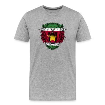 Suriname - Men's Premium Organic T-Shirt - heather grey - Front - Damien (186cm)