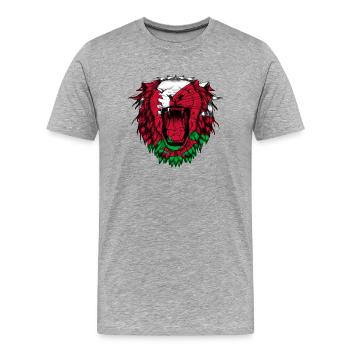 Wales - Men's Premium Organic T-Shirt - heather grey - Front - Damien (186cm)