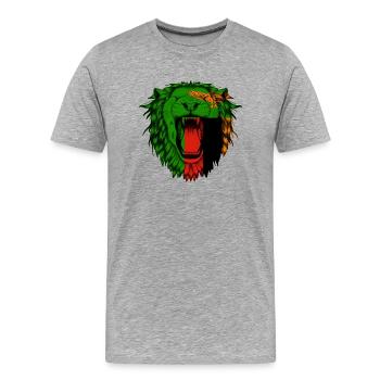 Zambia - Men's Premium Organic T-Shirt - heather grey - Front - Damien (186cm)