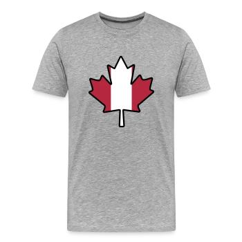 Canada leaf - Männer Premium Bio T-Shirt - Grau meliert - Vorne - Damien (186cm)