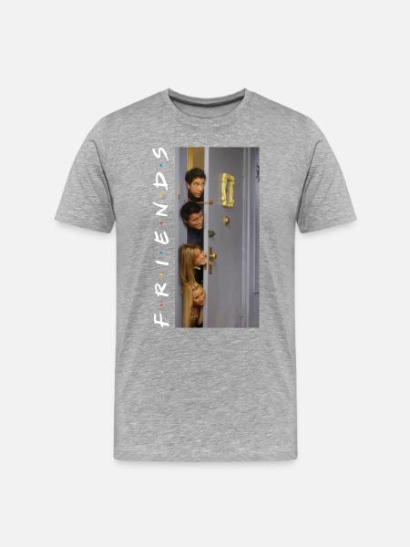 Friends Heads - Männer Premium Bio T-Shirt - Grau meliert