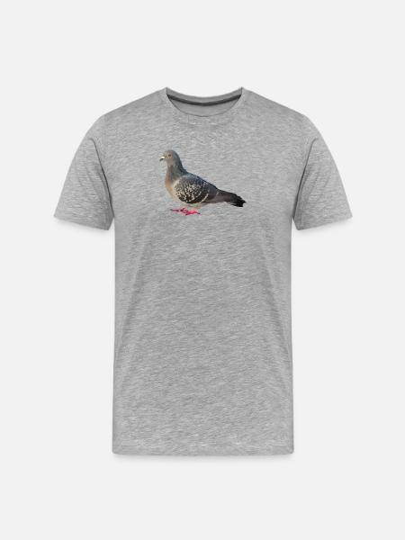 Prachtvolles Taubenporträt Farbenspiel - Männer Premium Bio T-Shirt - Grau meliert