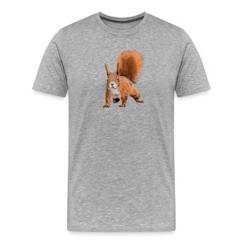 squirrel - Men's Premium Organic T-Shirt - heather grey - Front - Damien (186cm)