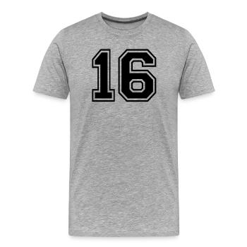16 - Männer Premium Bio T-Shirt - Grau meliert - Vorne - Damien (186cm)