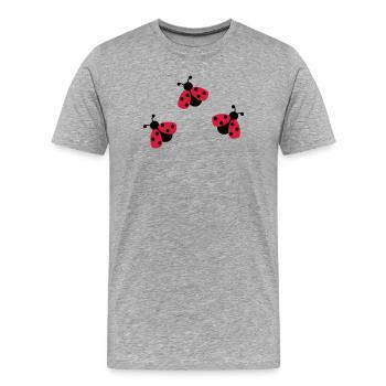 6254398 118120415 Marienkaefer - Männer Premium Bio T-Shirt - Grau meliert - Vorne - Damien (186cm)