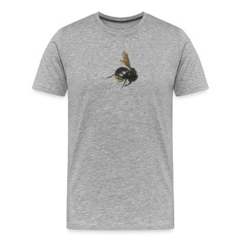 bumblebee - Men's Premium Organic T-Shirt - heather grey - Front - Damien (186cm)