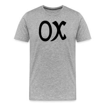 Arab - Men's Premium Organic T-Shirt - heather grey - Front - Damien (186cm)