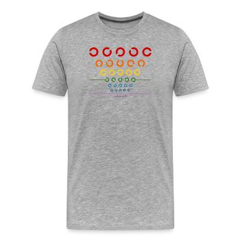 Rainbow Visual Test - Men's Premium Organic T-Shirt - heather grey - Front - Damien (186cm)