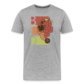 Fruits biologiques Icône de fruits Alimentation saine Icône d’alimentation - T-shirt bio Premium Homme - gris chiné - Devant - Damien (186cm)