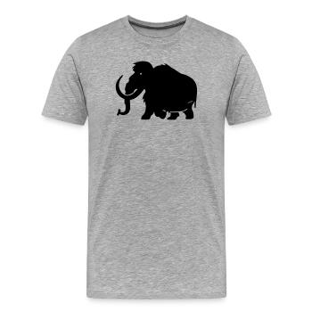 Mammut - Männer Premium Bio T-Shirt - Grau meliert - Vorne - Damien (186cm)