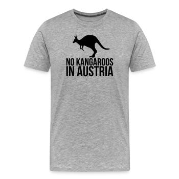 Autriche - T-shirt bio Premium Homme - gris chiné - Devant - Damien (186cm)