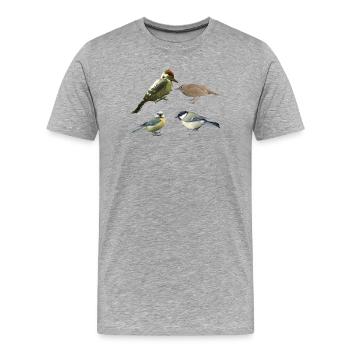 Oiseaux chanteurs - T-shirt bio Premium Homme - gris chiné - Devant - Damien (186cm)