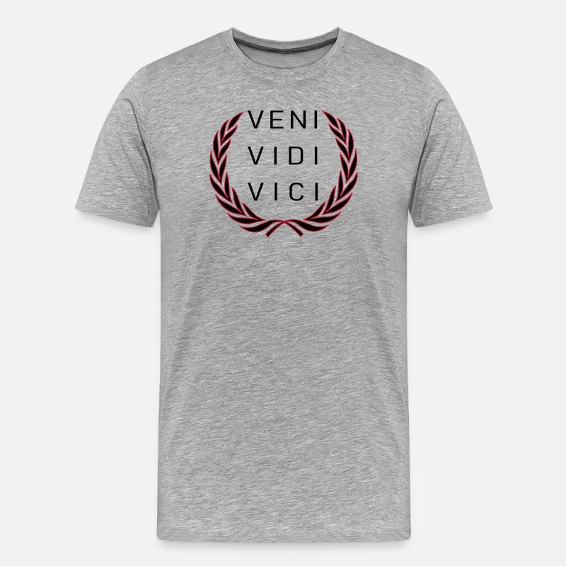 Veni Vidi Vici - Männer Premium Bio T-Shirt - Grau meliert