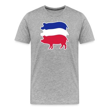 Dreikoloriges Schweinefleisch in Streifen - Männer Premium Bio T-Shirt - Grau meliert - Vorne - Damien (186cm)