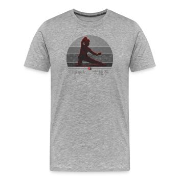 Tai Chi Fighter - Training Outfit Gift - Men's Premium Organic T-Shirt - heather grey - Front - Damien (186cm)