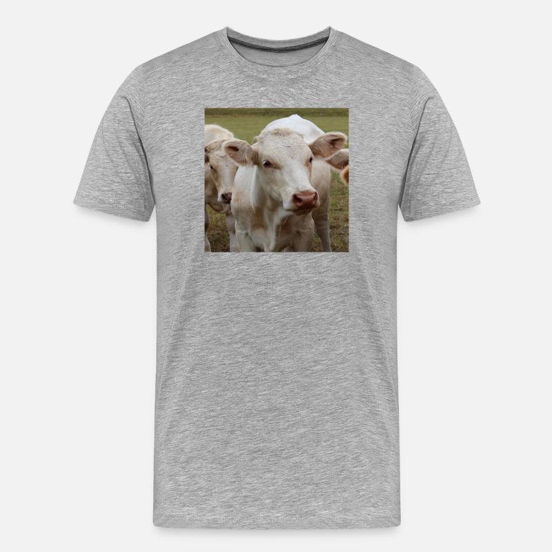 Kuh Poster - Männer Premium Bio T-Shirt - Grau meliert