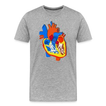 Farbige Herz-Anatomie Illustration - Männer Premium Bio T-Shirt - Grau meliert - Vorne - Damien (186cm)