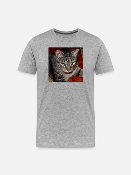 Cat Kitten - Men's Premium Organic T-Shirt - heather grey