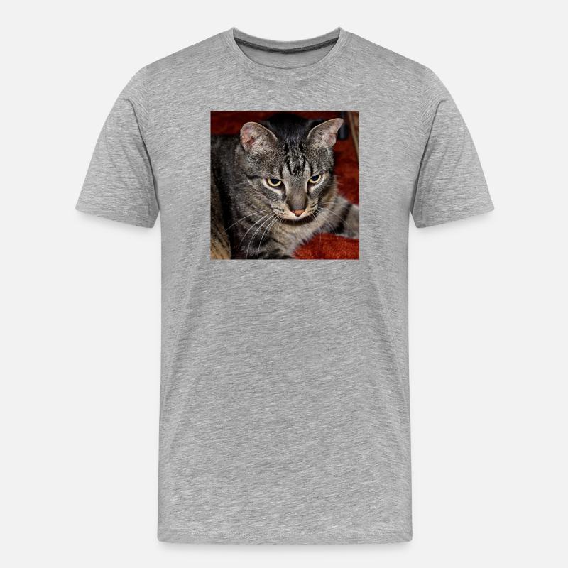 Katze Kätzchen - Männer Premium Bio T-Shirt - Grau meliert
