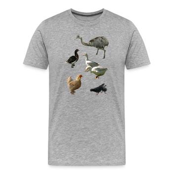 Federvieh - Männer Premium Bio T-Shirt - Grau meliert - Vorne - Damien (186cm)