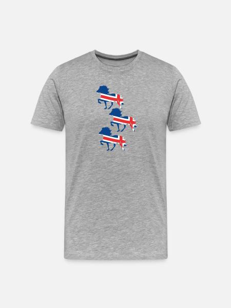 Icelandic horse flag - Men's Premium Organic T-Shirt - heather grey