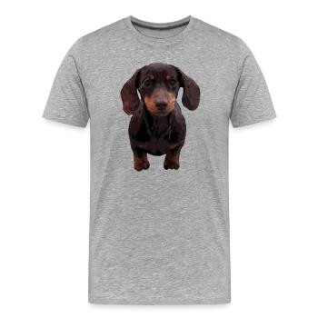 Short-haired dachshund - Men's Premium Organic T-Shirt - heather grey - Front - Damien (186cm)