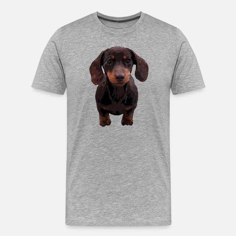 Kurzhaardackel - Männer Premium Bio T-Shirt - Grau meliert