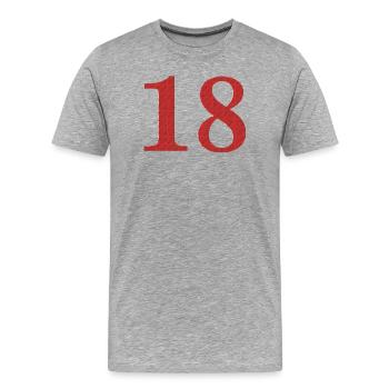 18 ans - T-shirt bio Premium Homme - gris chiné - Devant - Damien (186cm)