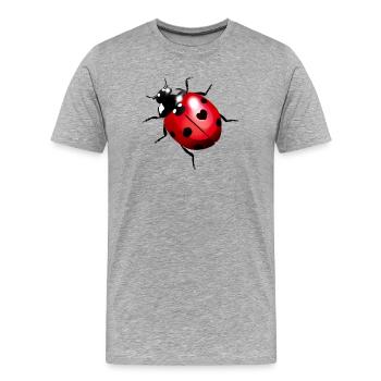 Marienkäfer - Männer Premium Bio T-Shirt - Grau meliert - Vorne - Damien (186cm)