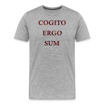 Cogito Ergo Sum - Men's Premium Organic T-Shirt - heather grey - Front - Damien (186cm)