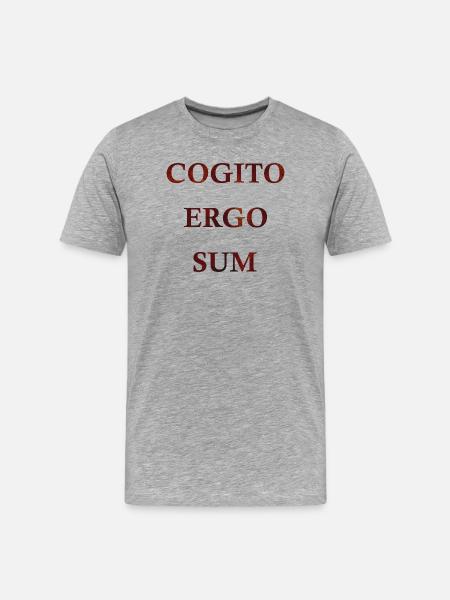 Cogito Ergo Sum - Men's Premium Organic T-Shirt - heather grey