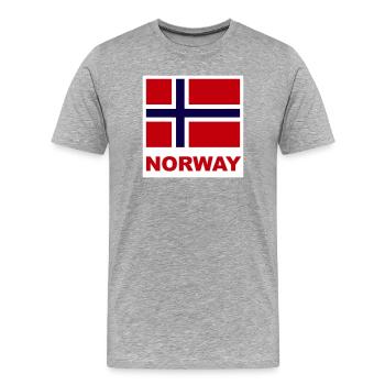 Norwegen Norwegen Flagge - Männer Premium Bio T-Shirt - Grau meliert - Vorne - Damien (186cm)