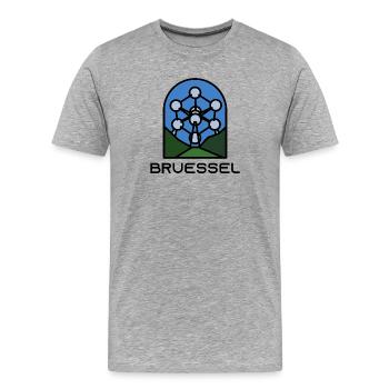 Brüssel - Männer Premium Bio T-Shirt - Grau meliert - Vorne - Damien (186cm)