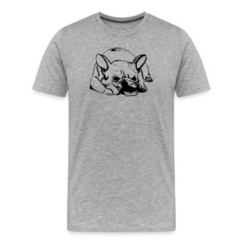 Mauritius - Men's Premium Organic T-Shirt - heather grey - Front - Damien (186cm)