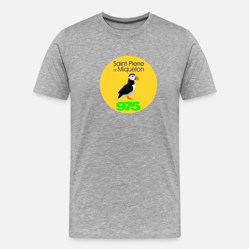 Saint-Pierre und Miquelon - Männer Premium Bio T-Shirt - Grau meliert